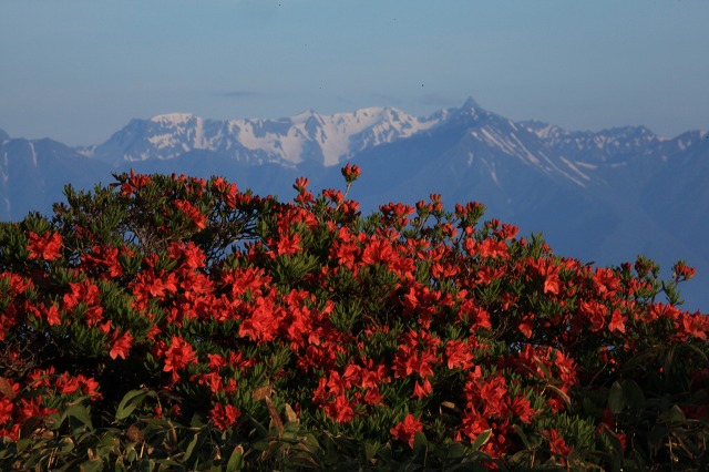 e0242721_951711.jpg