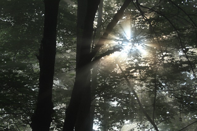 e0242721_9553131.jpg