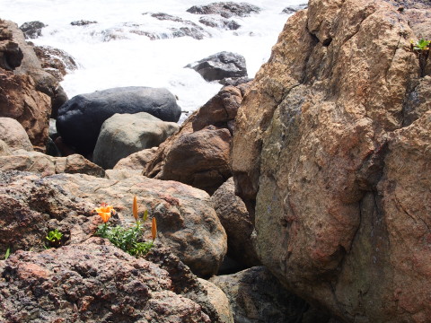 b0147224_17244252.jpg