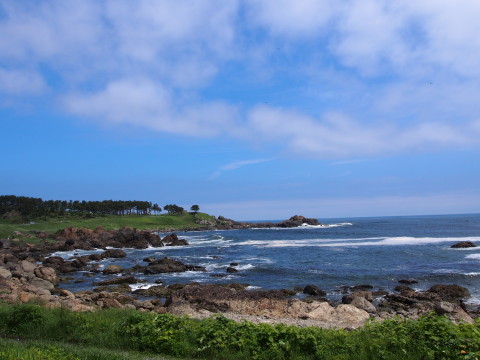 b0147224_17265482.jpg
