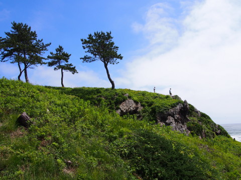 b0147224_17291932.jpg