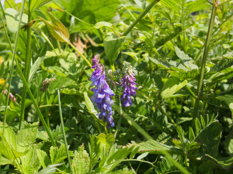 b0147224_17295430.jpg