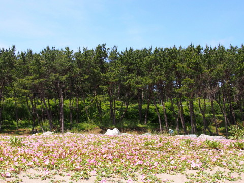 b0147224_17301379.jpg