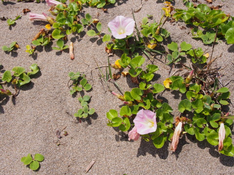 b0147224_1732888.jpg