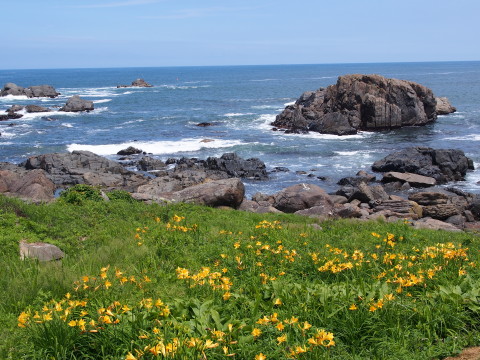 b0147224_17372580.jpg