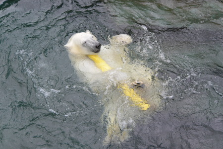 f0344626_00093094.jpg