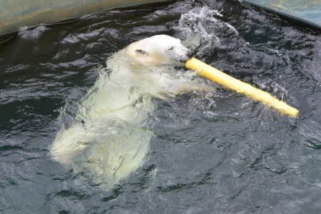 f0344626_00104002.jpg