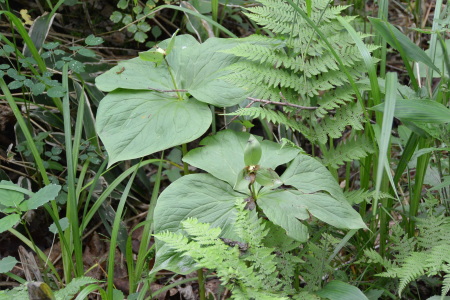 f0344626_00154428.jpg