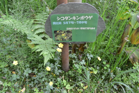f0344626_00155035.jpg