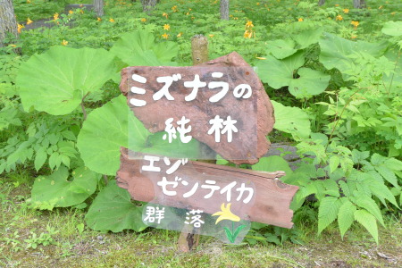 f0344626_00171069.jpg