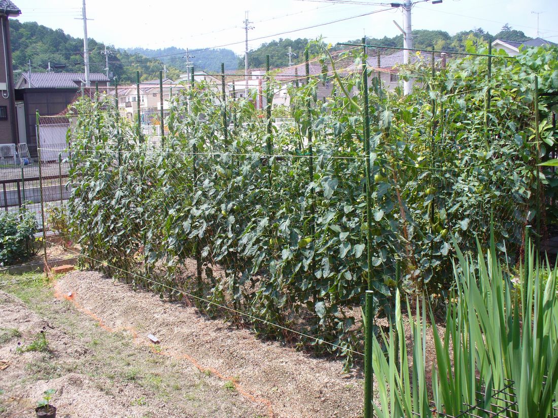 f0346527_23235353.jpg