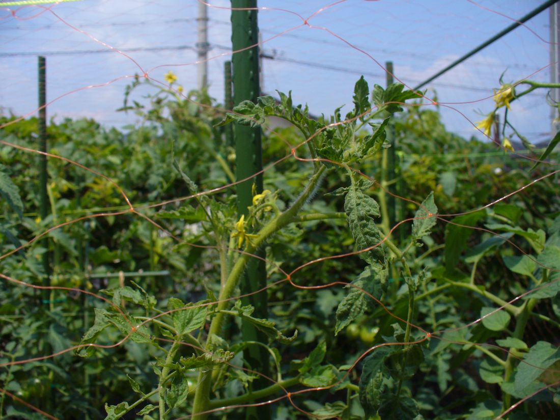 f0346527_23274717.jpg