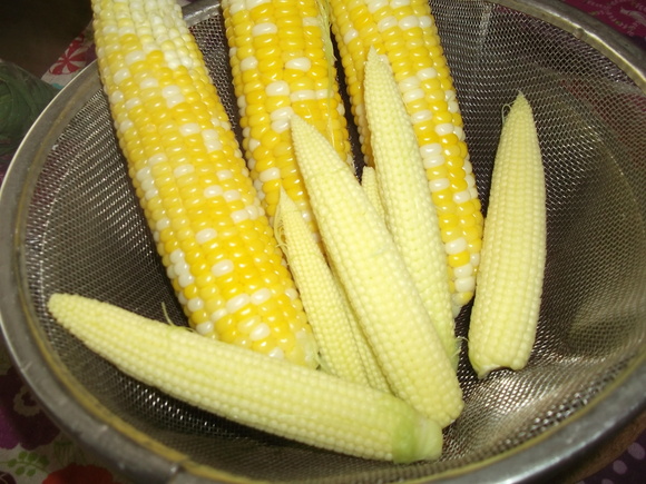 b0137932_1631015.jpg