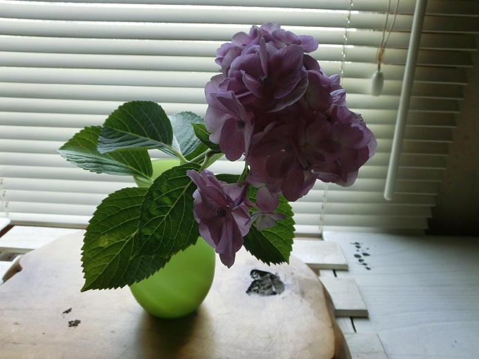f0237037_12123537.jpg