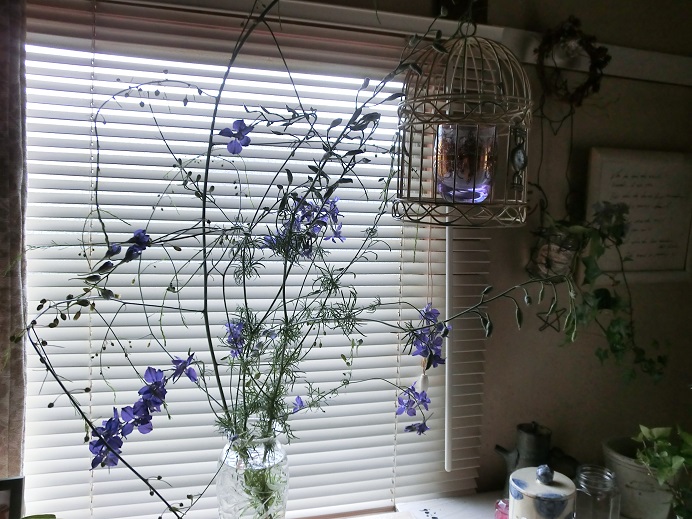 f0237037_1223721.jpg