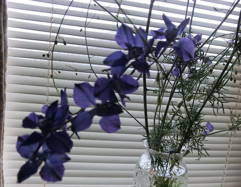 f0237037_1251593.jpg