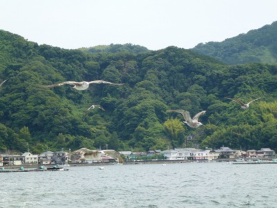 c0191138_15341959.jpg