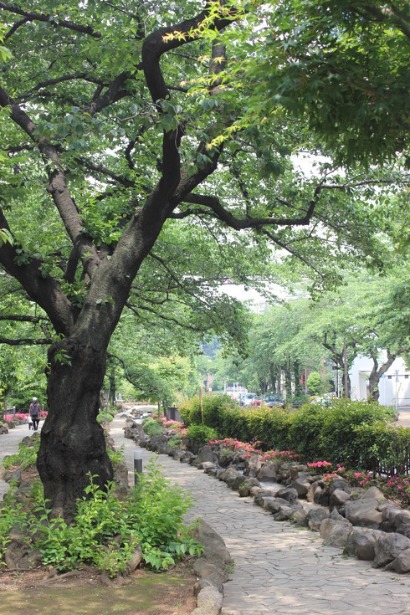 f0157538_1818855.jpg