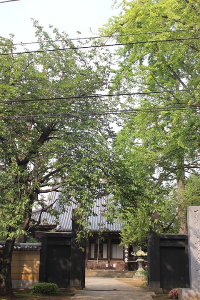 f0157538_18201999.jpg