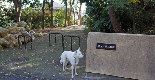 a0117039_2347119.jpg
