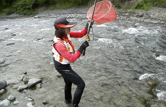 a0056140_21000767.gif
