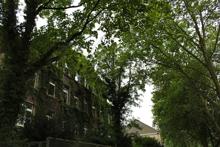 c0153740_1657715.jpg