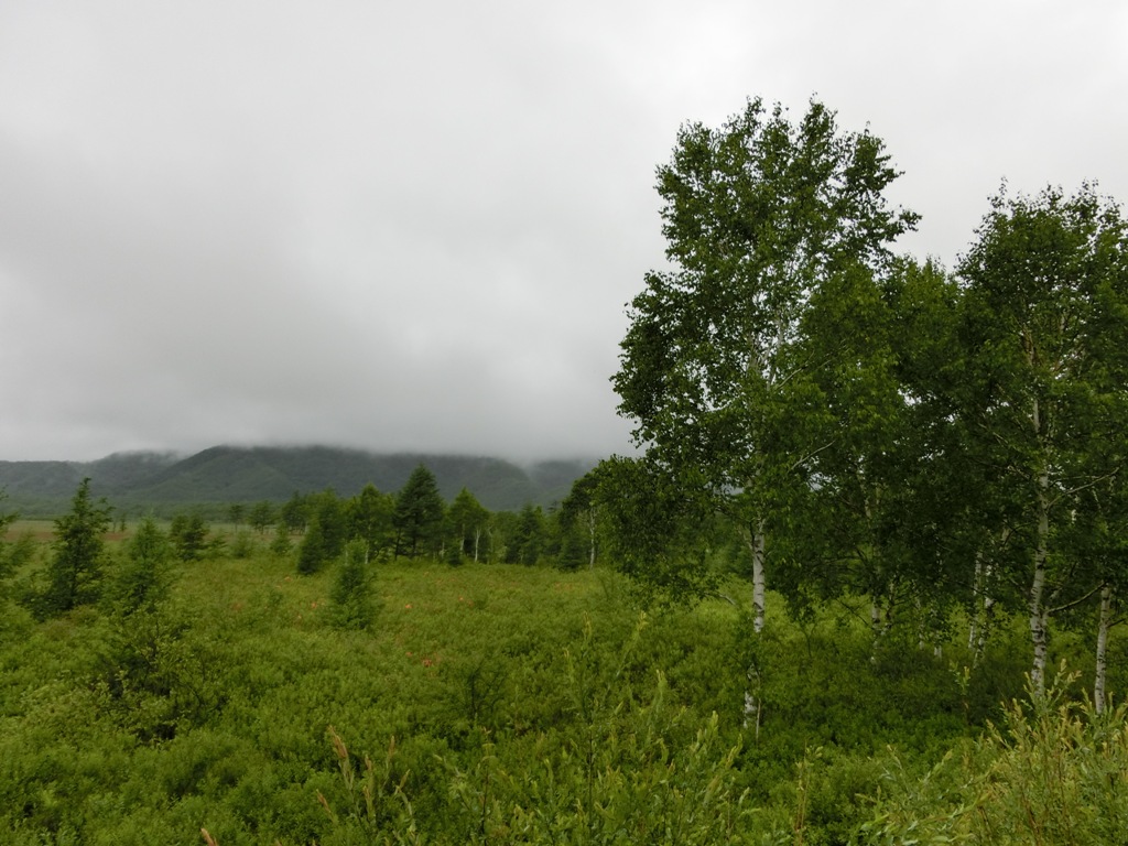 d0132743_15272290.jpg