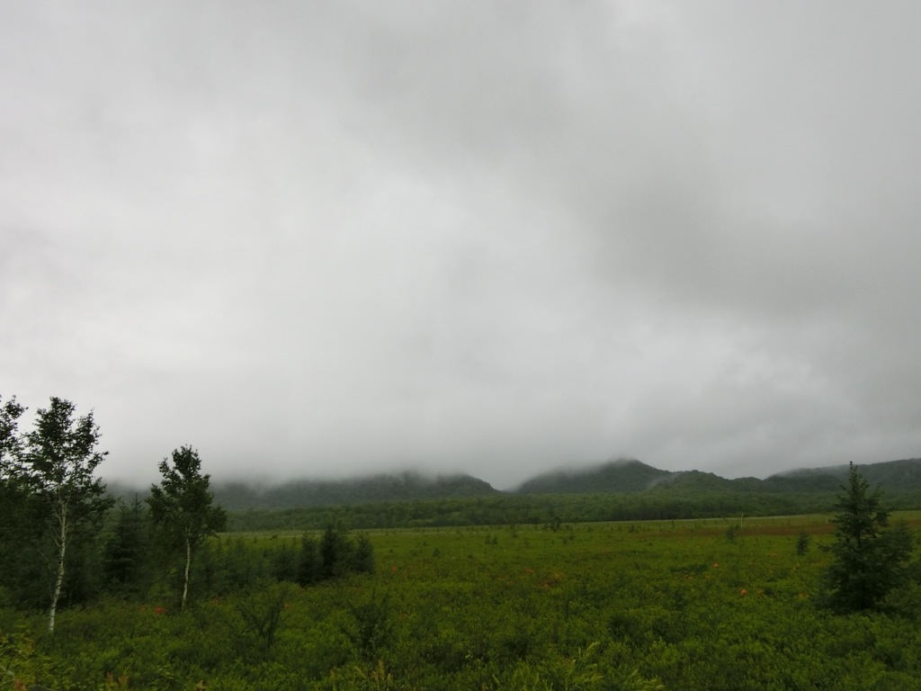 d0132743_15275415.jpg