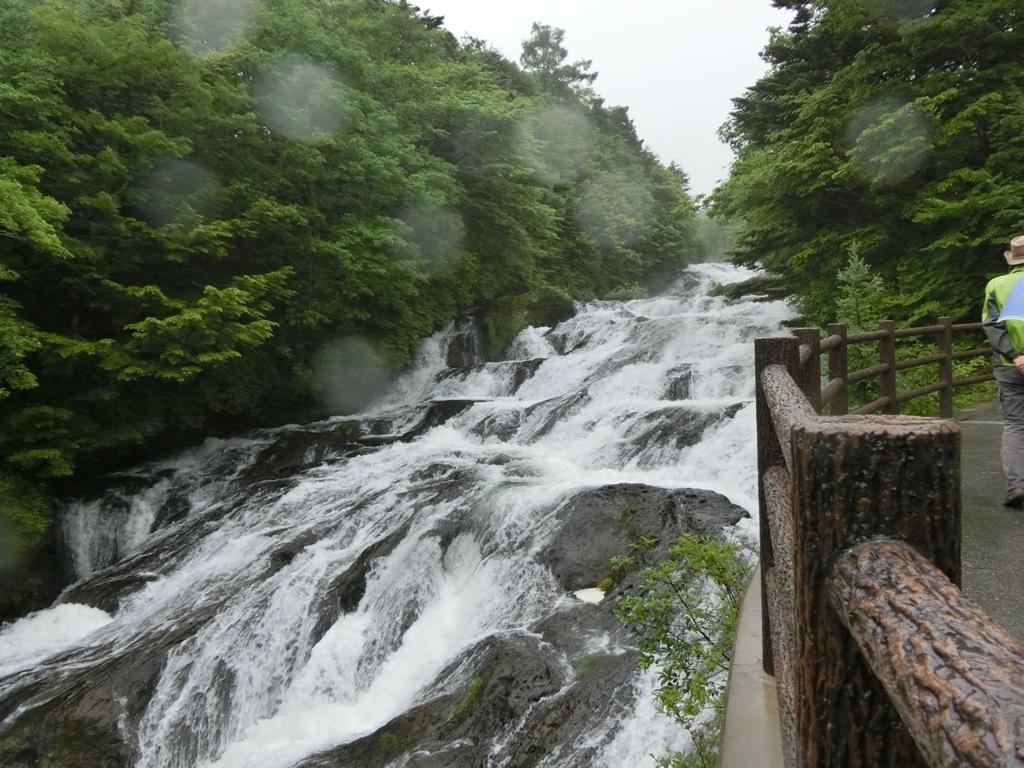 d0132743_1529979.jpg
