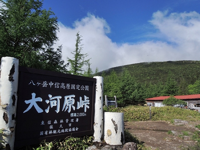 b0122448_12224484.jpg
