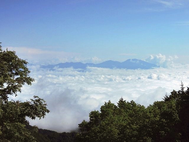 b0122448_1229566.jpg
