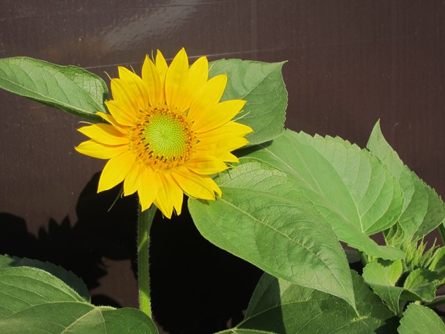 b0289649_8472860.jpg