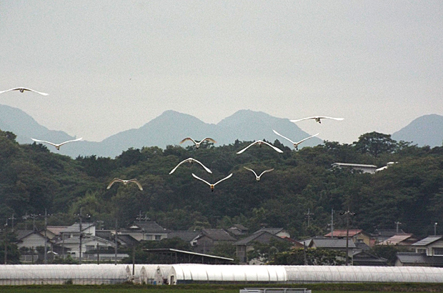 f0214649_1631219.jpg