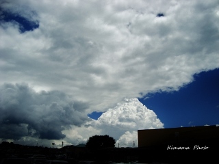 a0258954_08203.jpg
