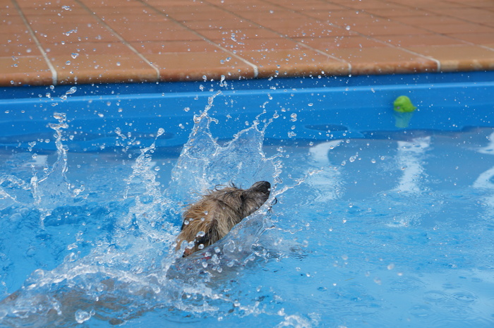 a0267860_217372.jpg
