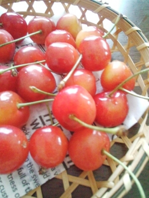 c0324961_17215574.jpg