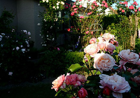 d0244364_21124390.jpg