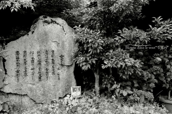 f0251765_1550994.jpg