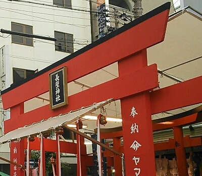 a0111166_16205875.jpg
