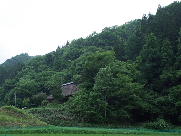 c0166668_6163294.jpg