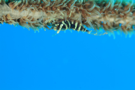 c0039073_1933177.jpg