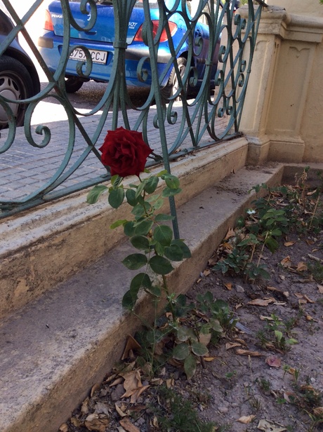 e0207973_81335.jpg