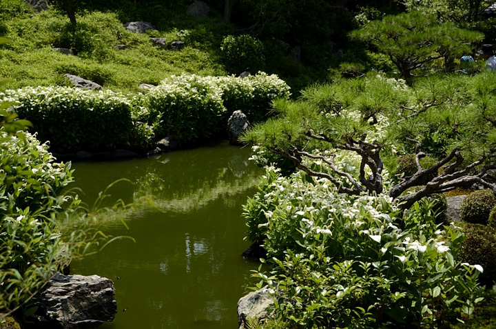 f0108478_21195119.jpg