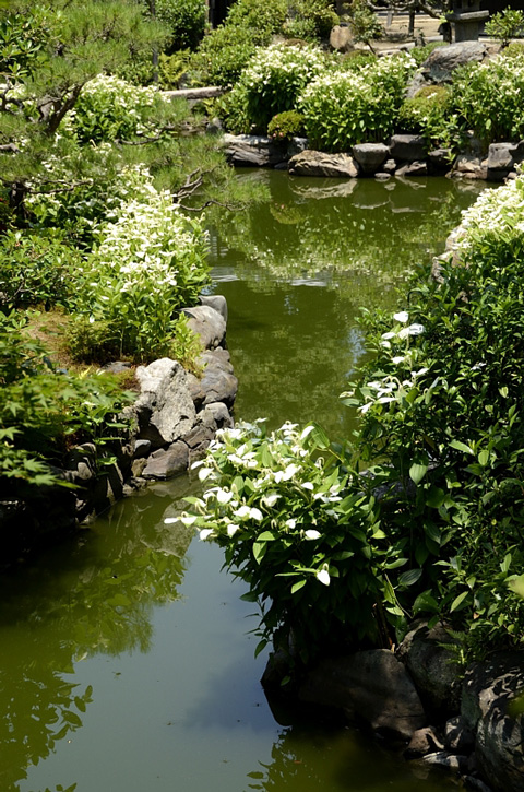 f0108478_21213843.jpg