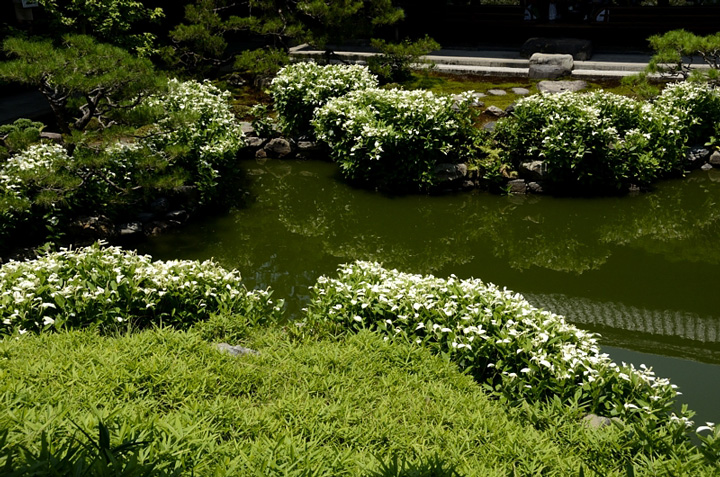 f0108478_21221998.jpg