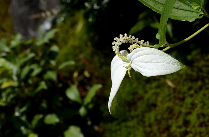f0108478_2124143.jpg