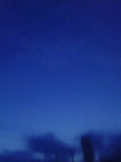 f0127282_1411217.jpg