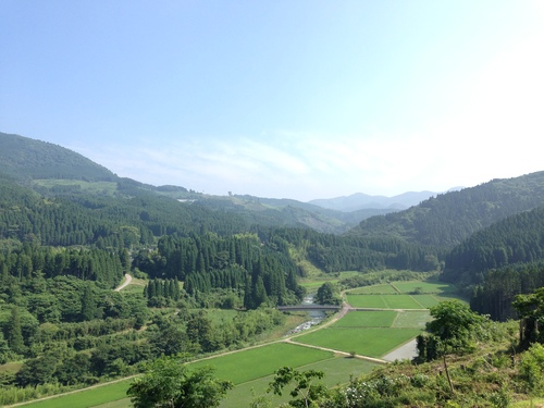 c0184491_23244932.jpg
