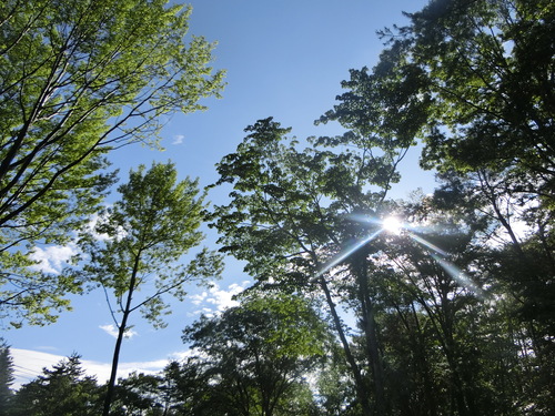 a0319693_842262.jpg