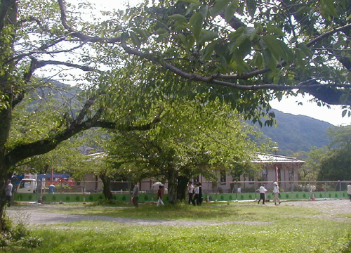 d0053294_041183.jpg